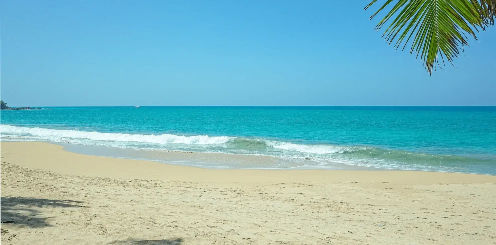 BENTOTA-min
